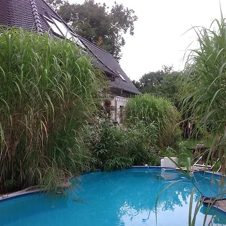 Apartment Kunsthaus Kurgan